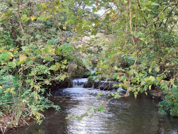The River Itchen near Otterbourne Waterworks.