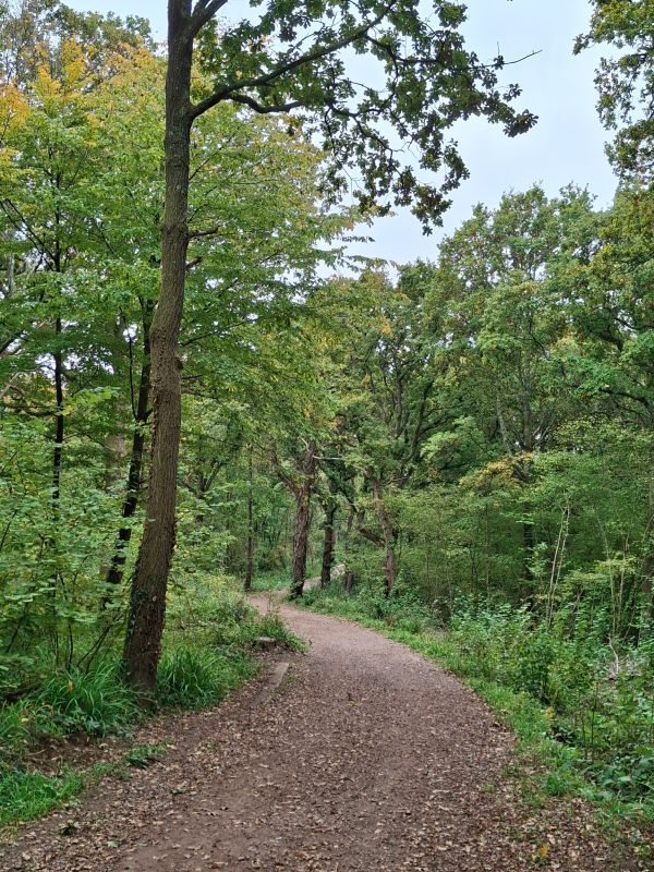 Heading south from Botley into the River Hamble Country Park