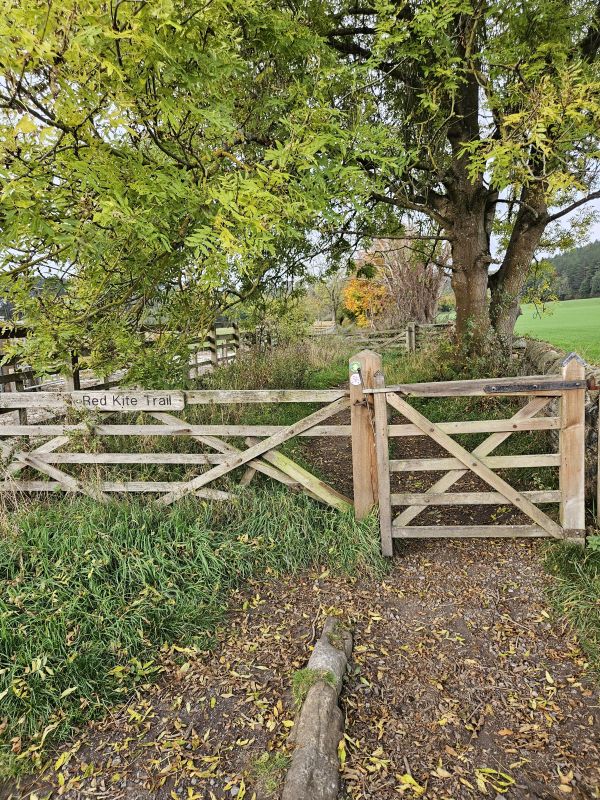 lintzford path