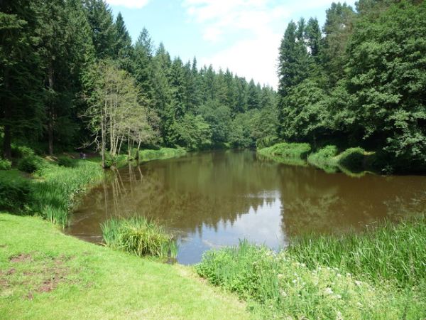 Soudley Ponds
