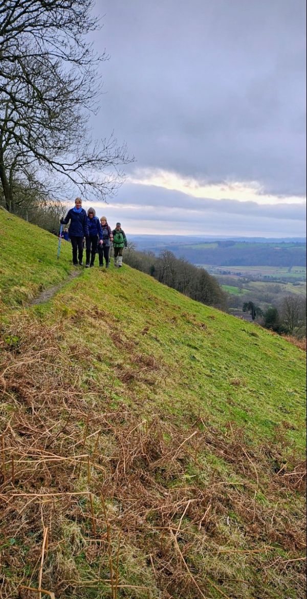 Abberley Hills