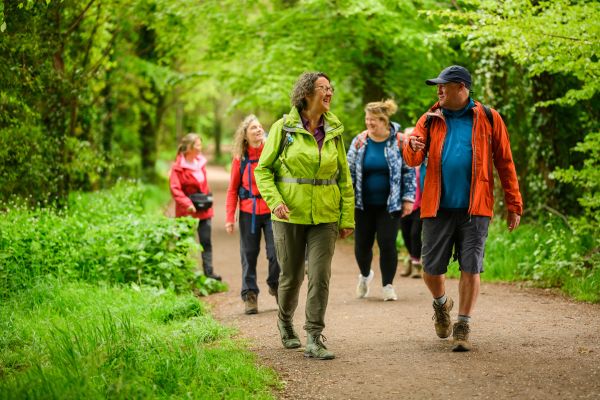 Woodland Walkers