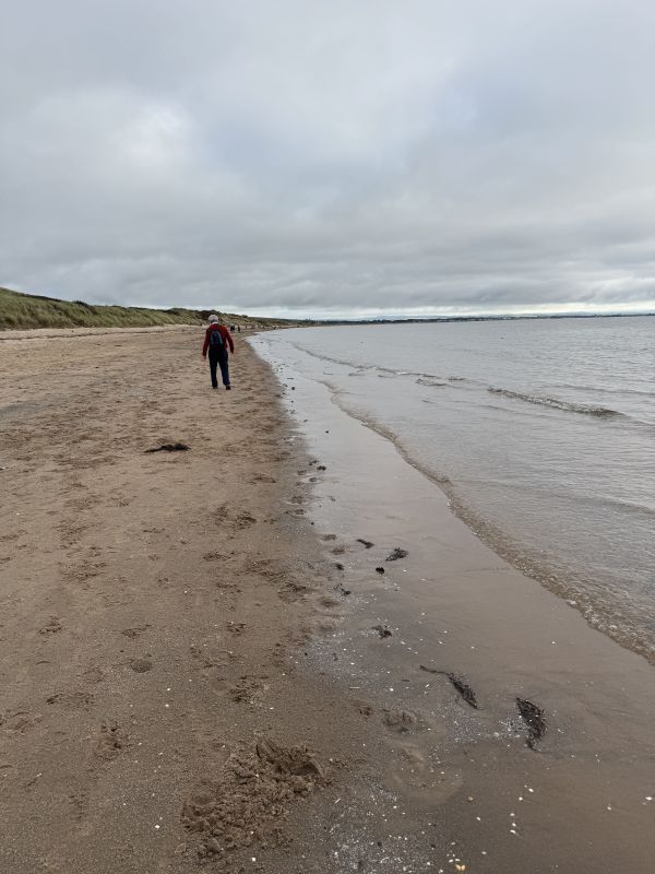 Irvine beach