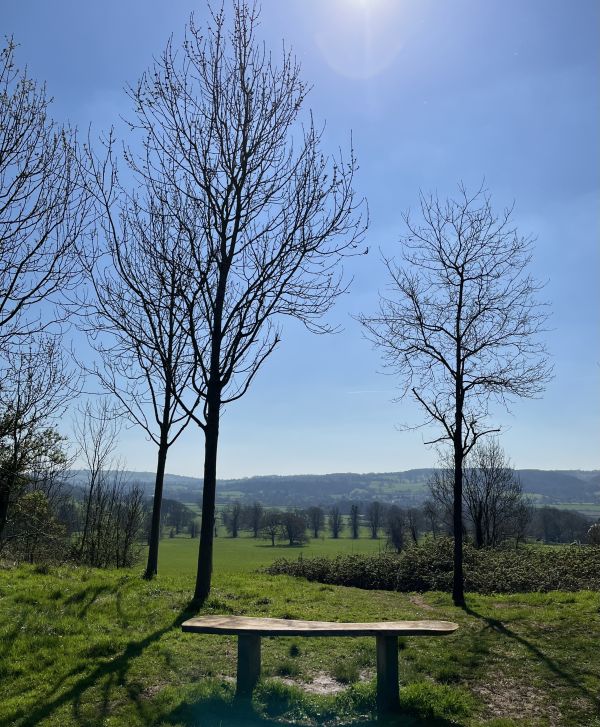 Happy Bench
