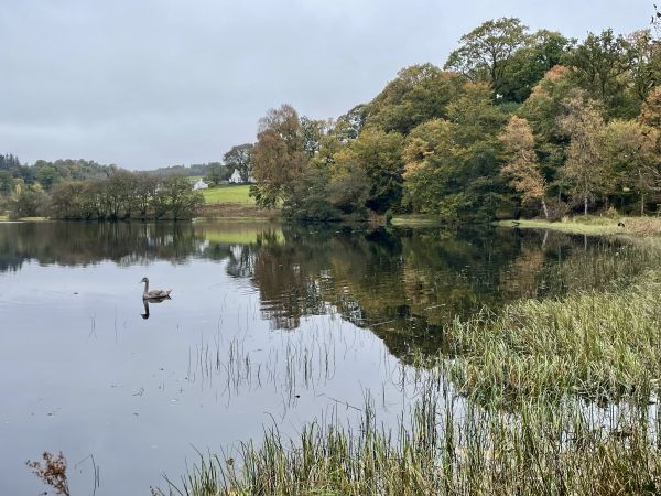 Carbeth Loch