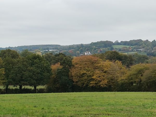 View from Shipbourne