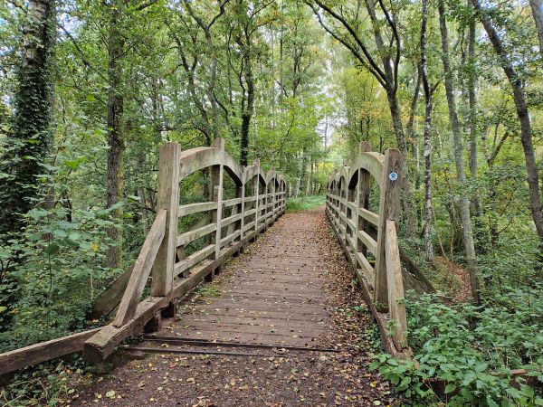 Bridge