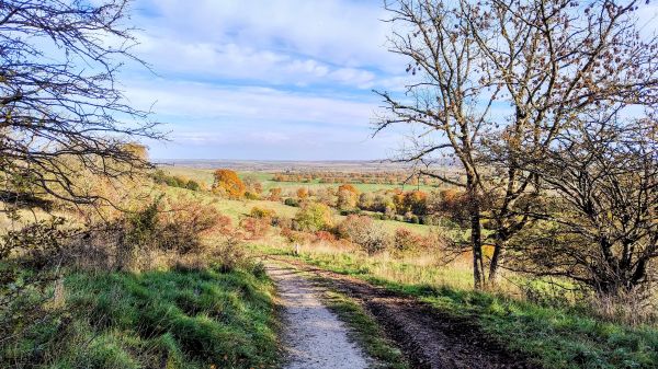 A view along a descending path with a long view to a distant hill on a summery day