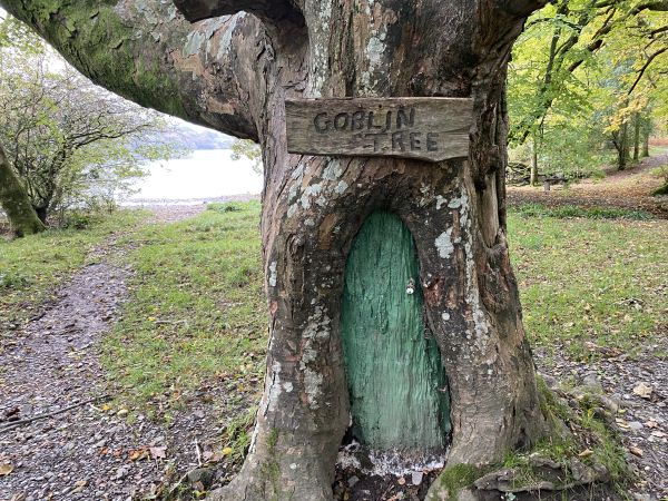 Woodland Dwellers?