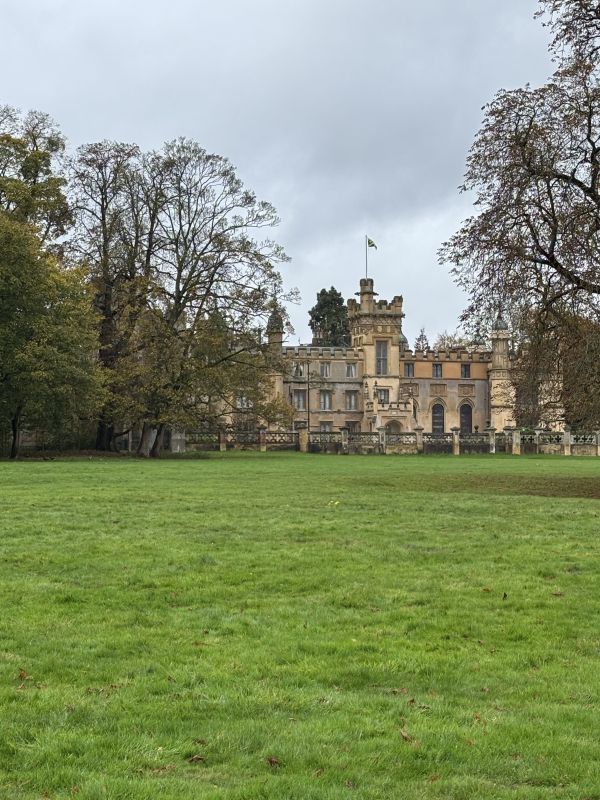 the house