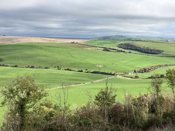 Views from Cissbury