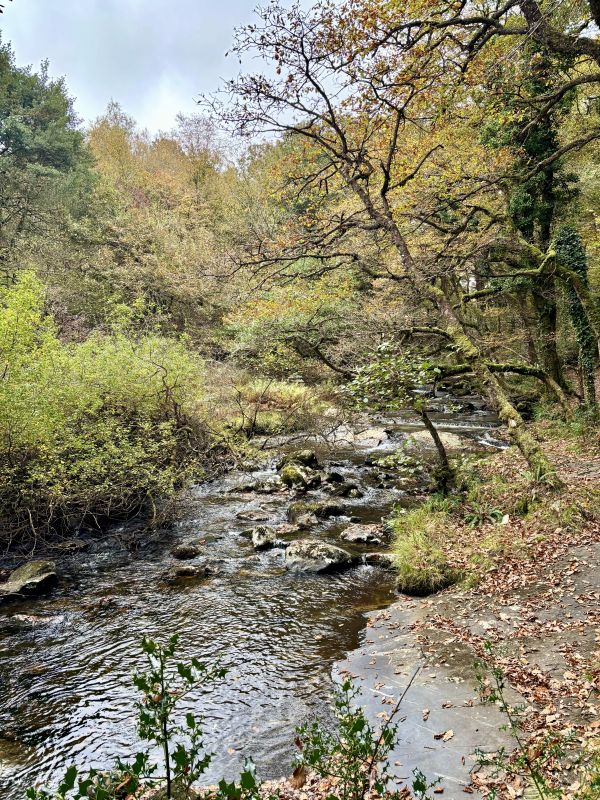 East Okement River