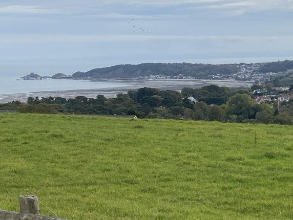 Mumbles Lighthouse from Clyne Common