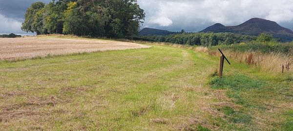 View of the Eildons on the way back