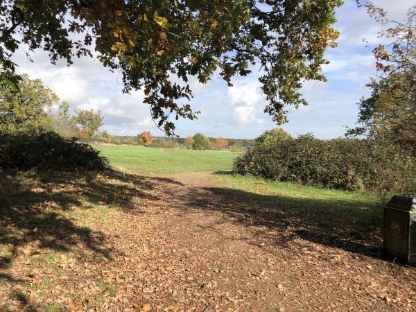 Cheshunt park