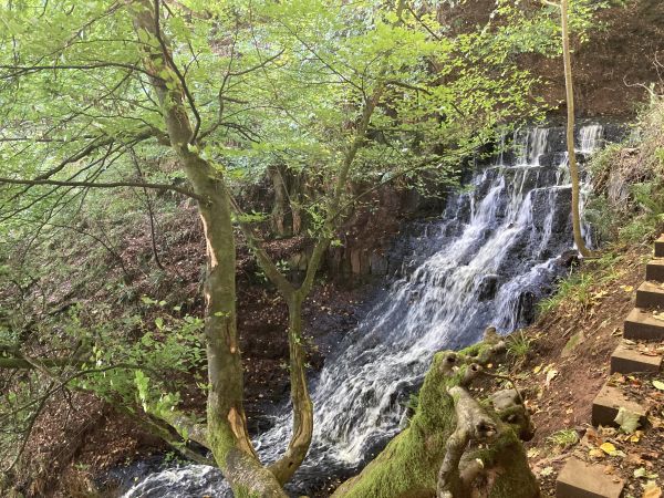 Cleddon Falls