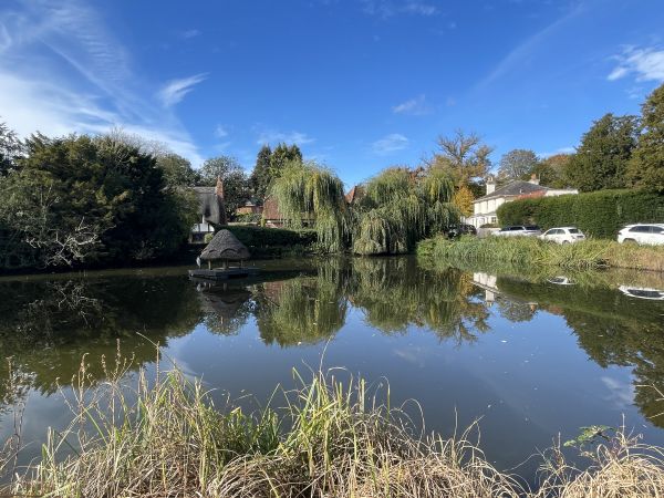 Crawley pond