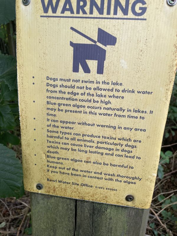 Info for dog owners