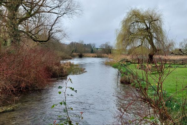 River Itchen and riverbank