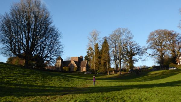 Brockhampton meadows