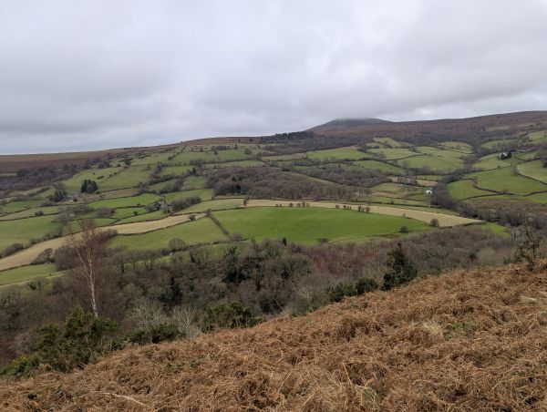 View from Bryn Arw