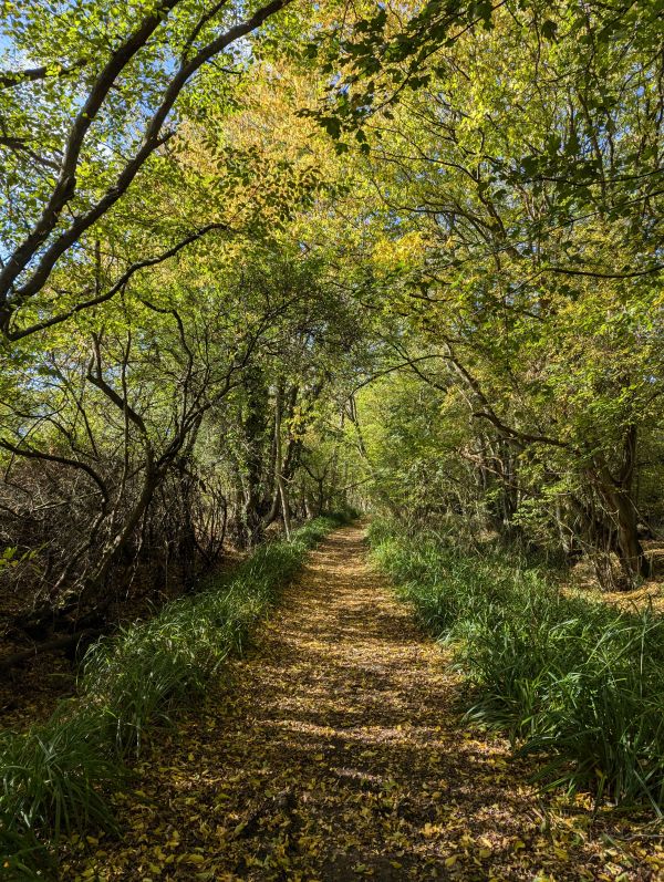 Track linking White Stubbs Lane and Pembridge Lane