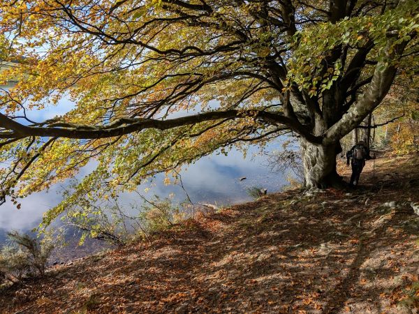 Cauldsheil Loch in Autumnal colours
