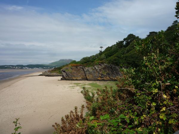 A beach scene
