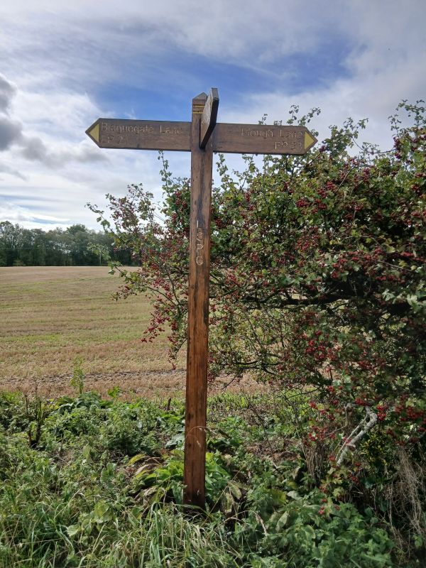 Footpath signpost on walk