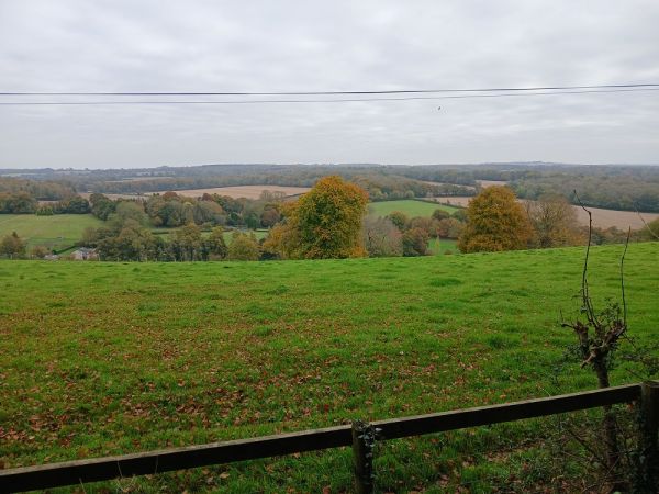 Upham