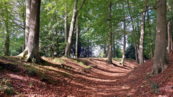 Cholesbury Camp