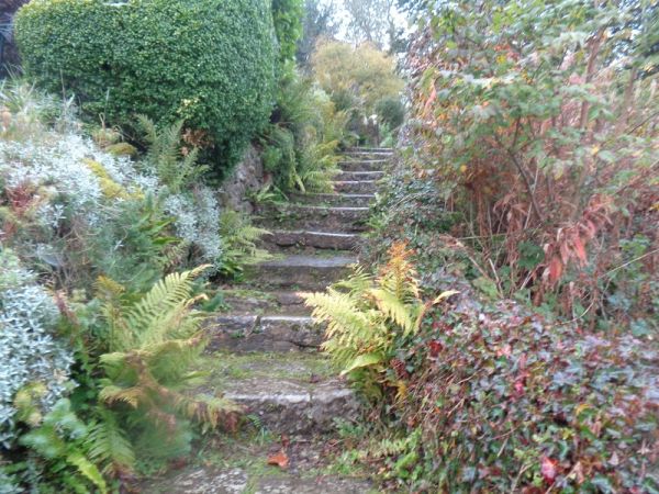 Steps to start