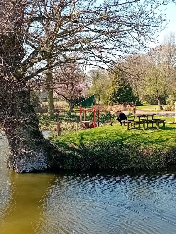 Pond