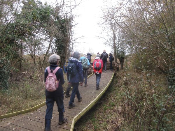 in the bird sanctuary