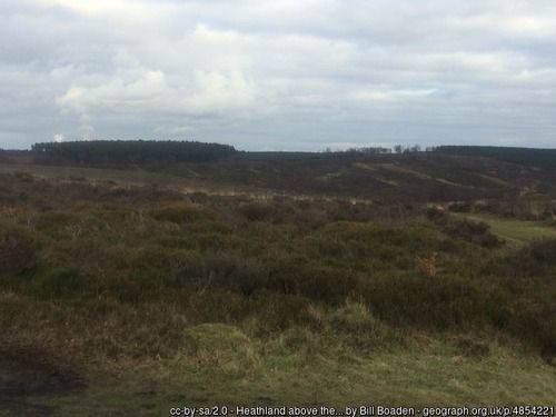 Heathland above the Sherbrook Valley, copyright Bill Boaden, used under Creative Commons licence v2.0.