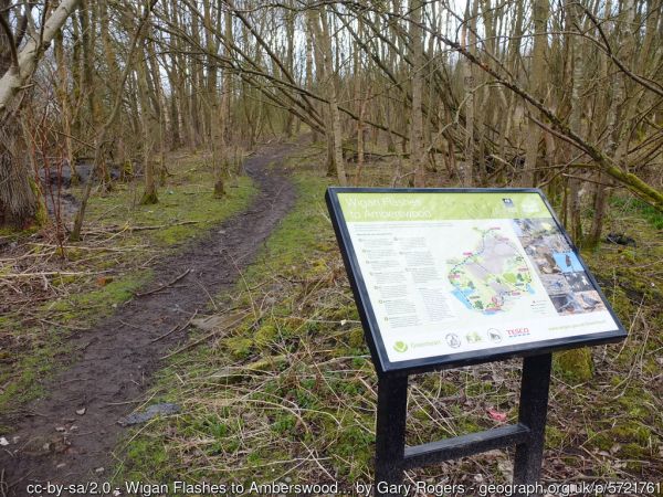 Amberswood