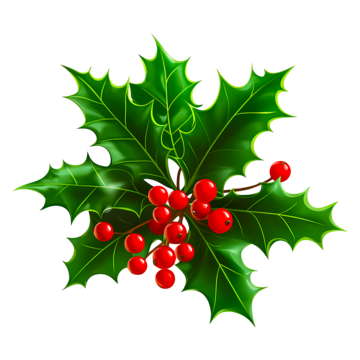 Holly