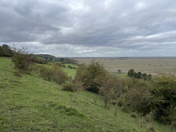 Alkborough Flats