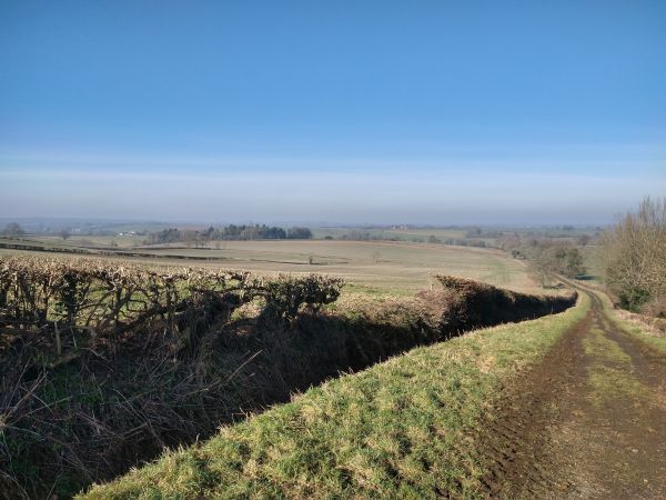 Pre-AGM walk