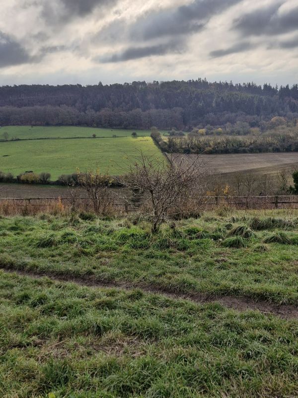 Towards the South Downs 