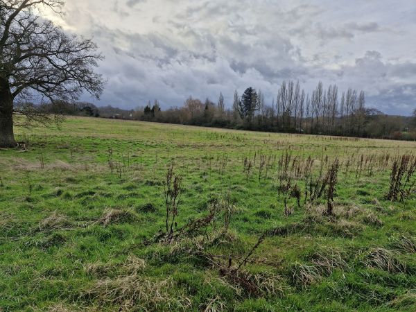 Lots of open countryside 