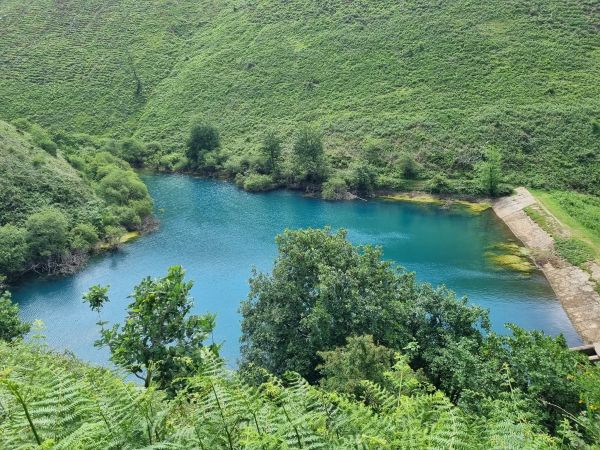 Looking down on blue pool, taken in the summer