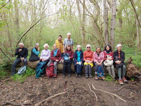 group in Hayley Wood