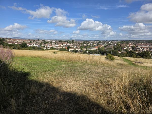 Kirkcaldy viewed from Rabbit Braes