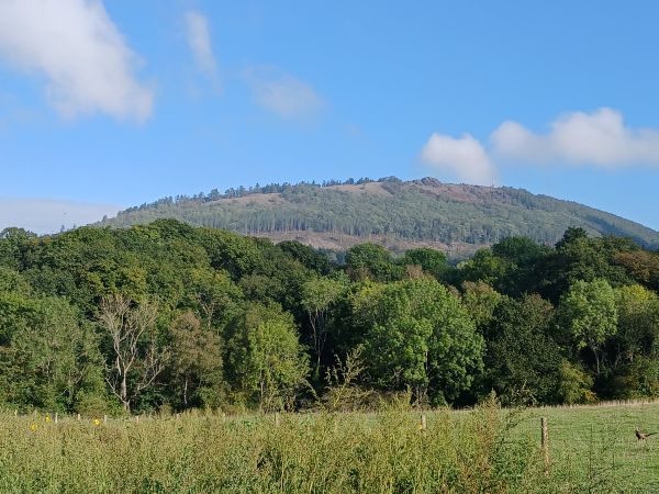 View of Wrekin