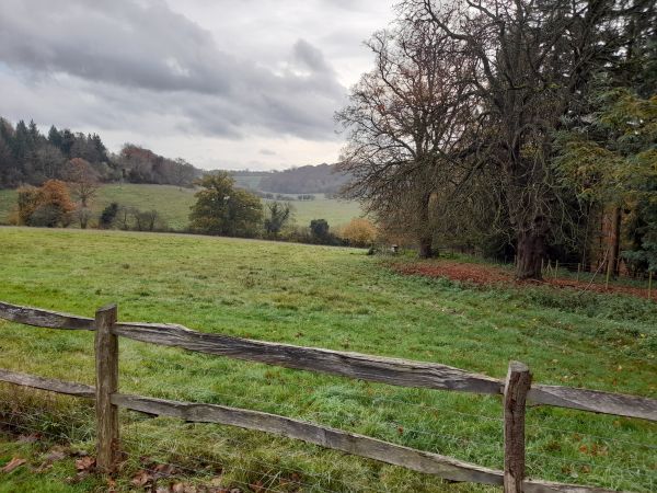 View from Greys Court