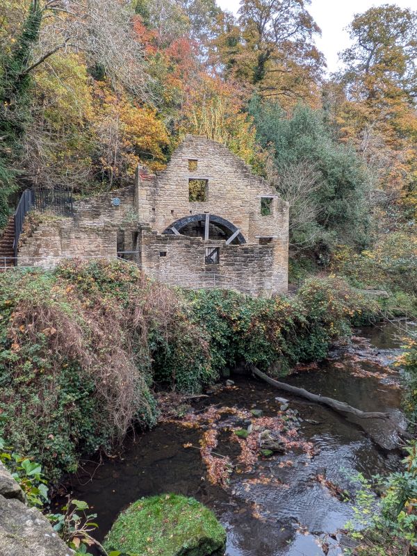 Jesmond Dene
