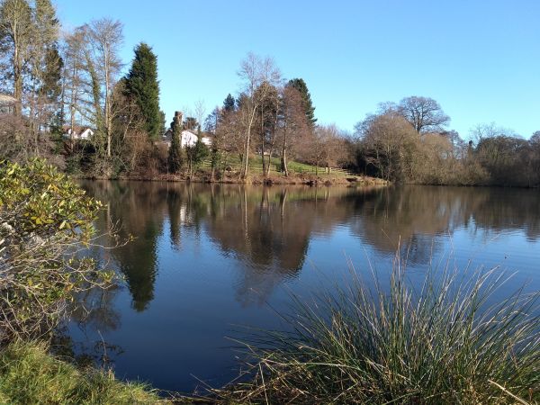 Lake at Blakedown