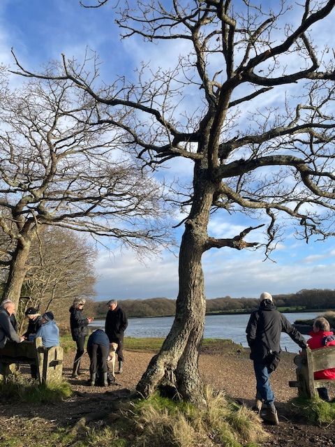 winter tree ramblers tea break by water