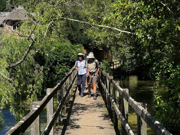 Ramblers walking over footbridge